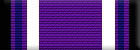 Task Force: Purple Heart